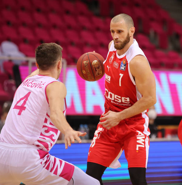 然引进了几 然引进了几